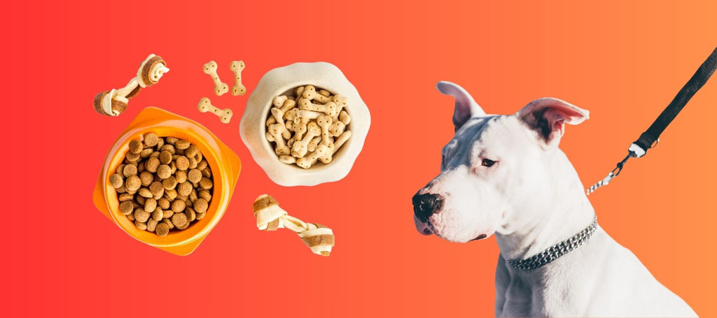 Good dog shop treats for pitbulls