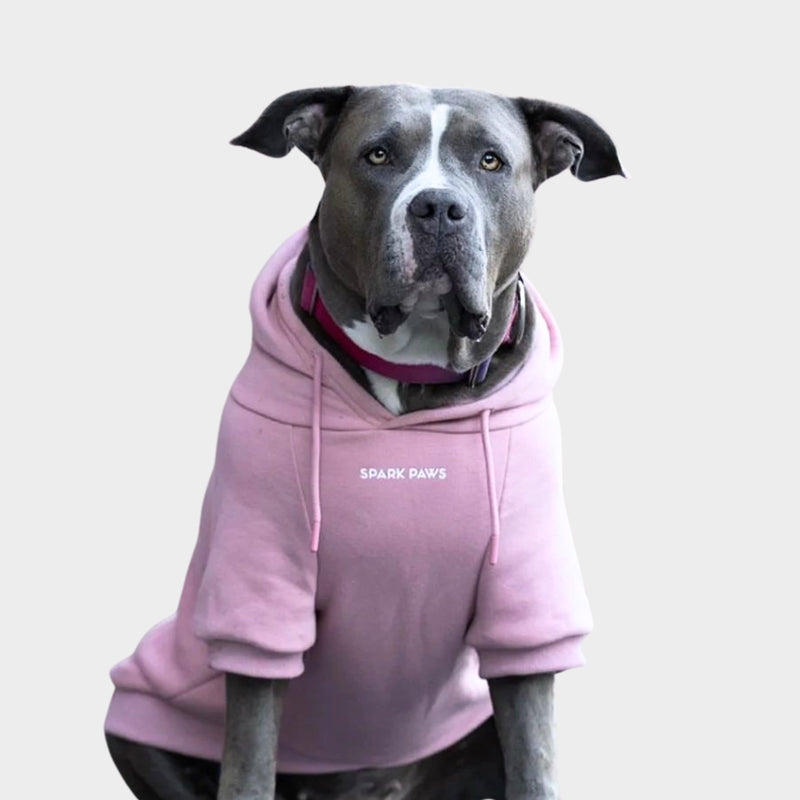 Essentielles Hunde Hoodie - Purpurtaupe