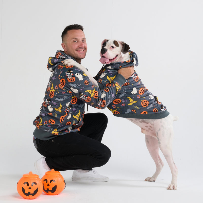 Halloween Hundehoodie - Grau