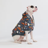 Halloween Hundehoodie - Grau