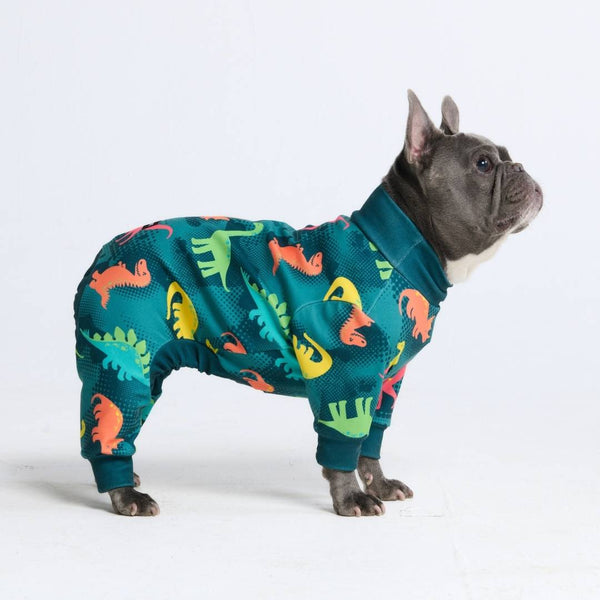 Hunde Pyjama– Dinosaurier