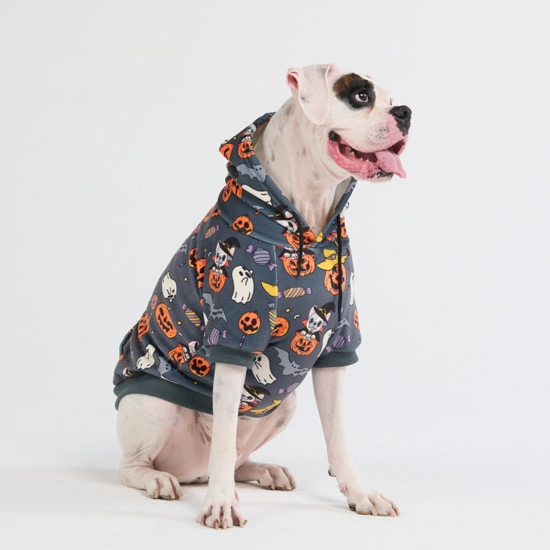 Halloween Hundehoodie - Grau