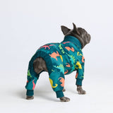 Hunde Pyjama– Dinosaurier