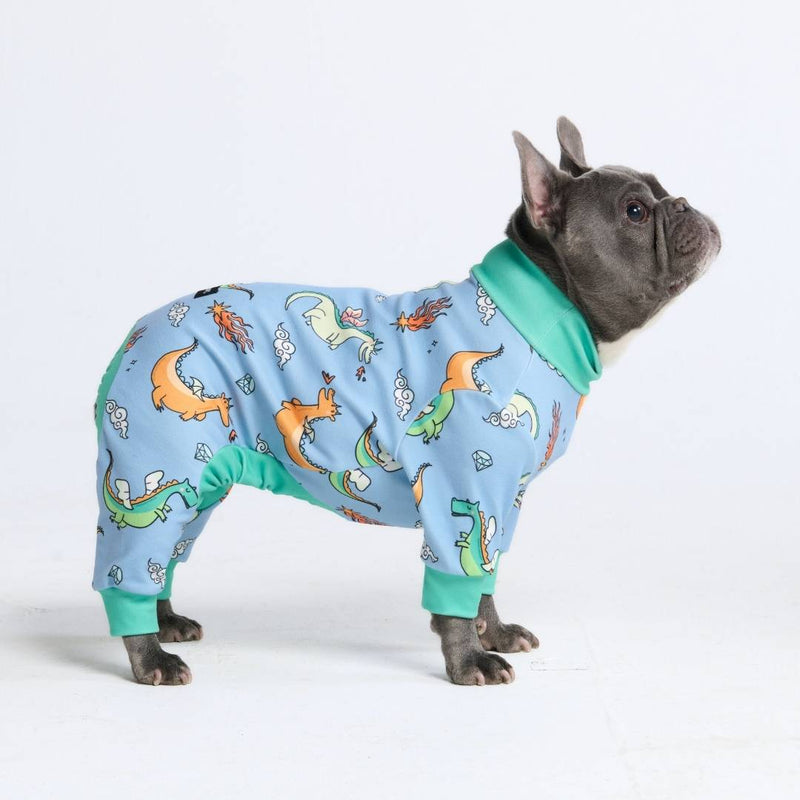 Hunde Pyjama– Drachen