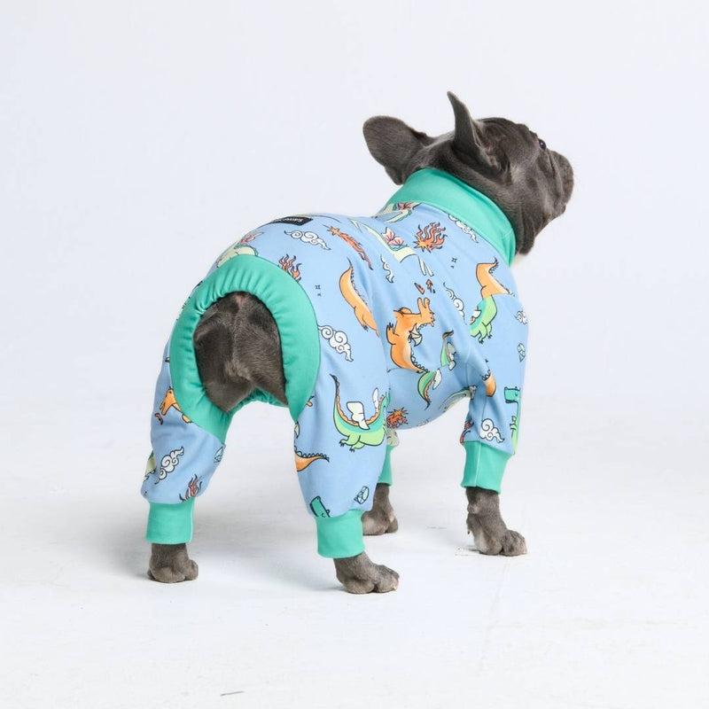 Hunde Pyjama– Drachen