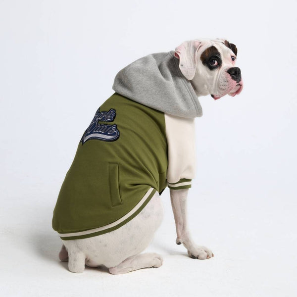 Collegejacke für Hunde– Grün