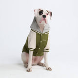 Collegejacke für Hunde– Grün