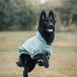 Essentielles Hunde Hoodie - Türkis