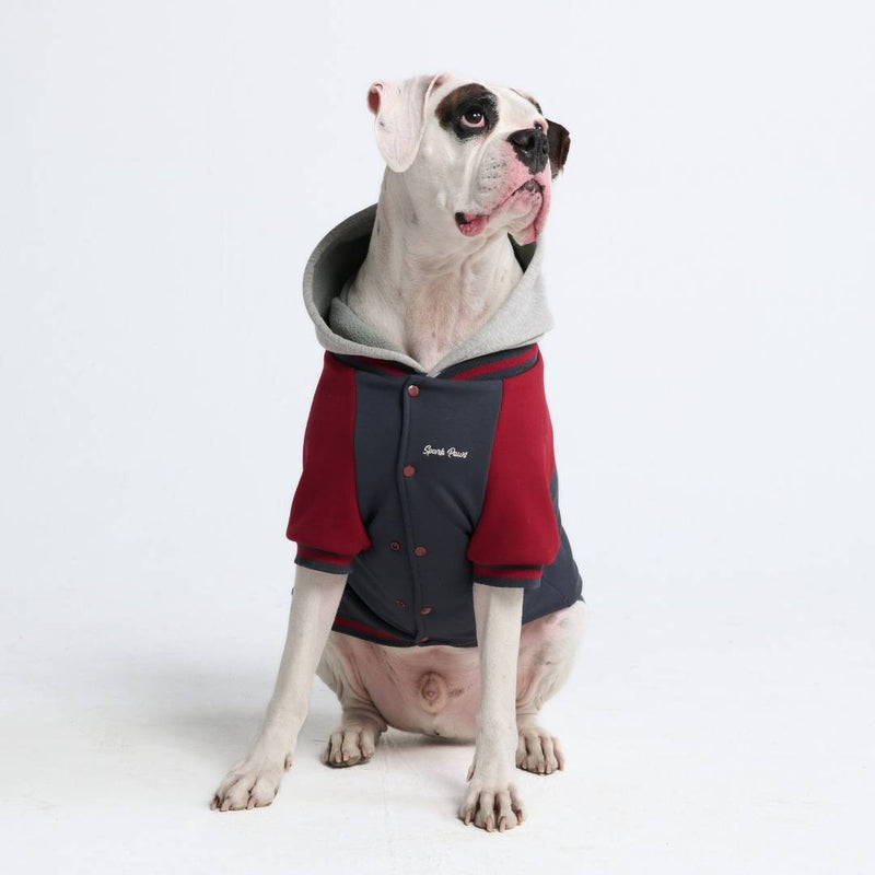 Collegejacke für Hunde– Graurot