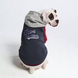 Collegejacke für Hunde– Graurot