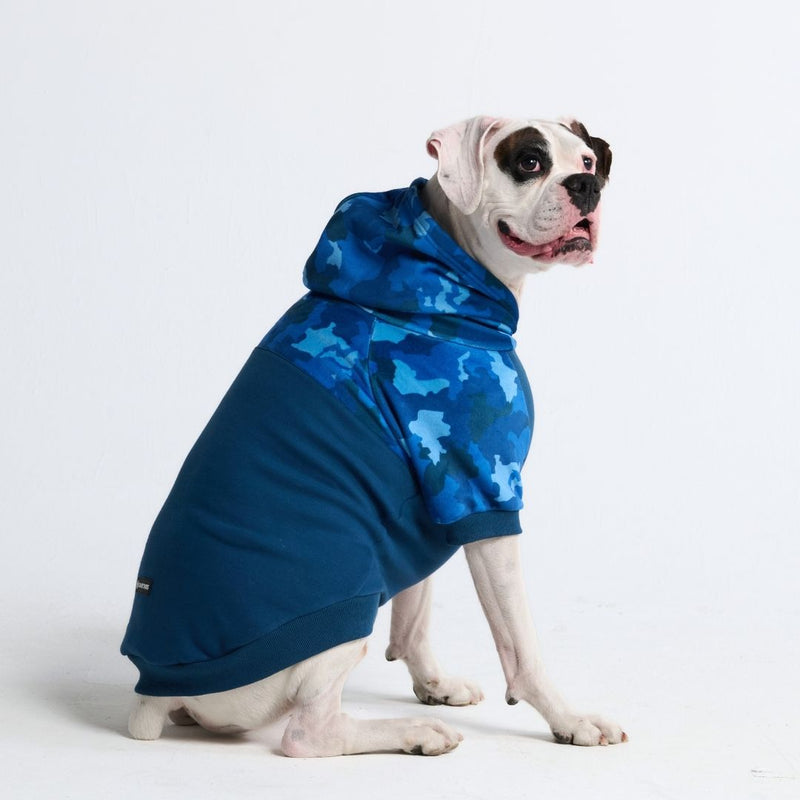 Blaue Tarn-Hundehoodie