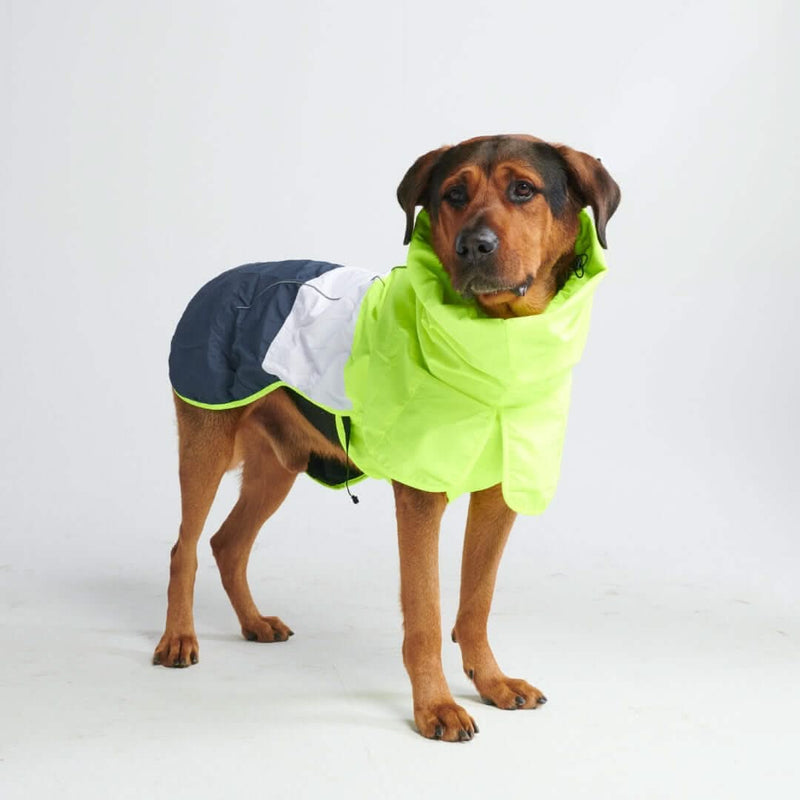 Dog Raincoat - Neon White Navy