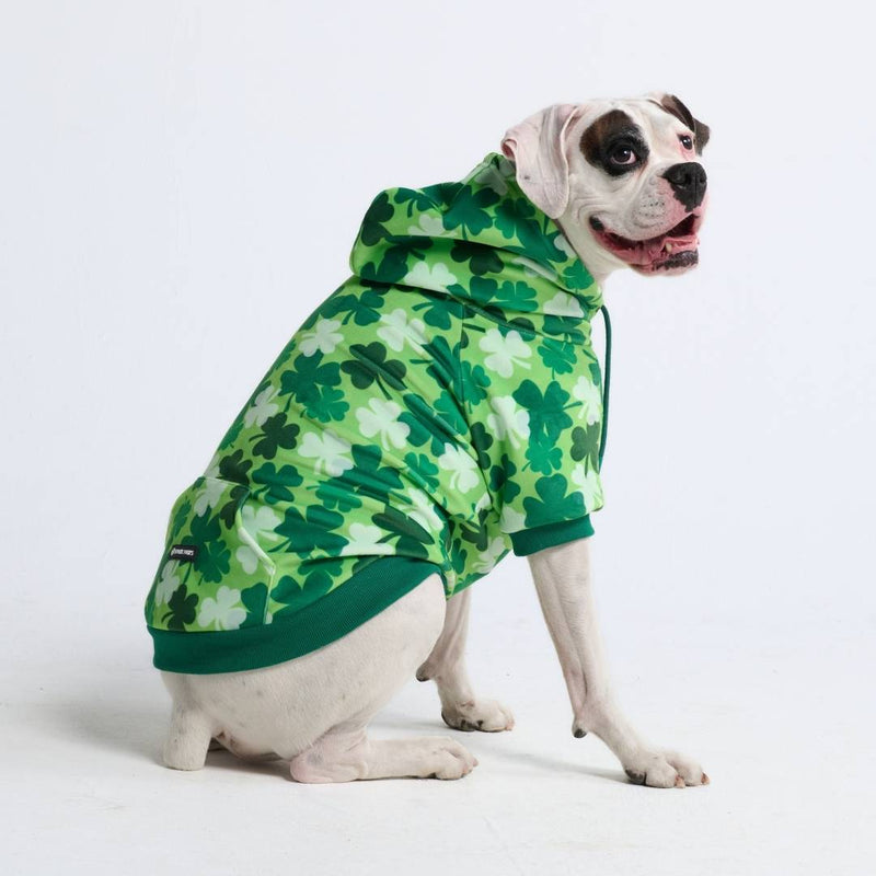 St. Pattys Hundehoodie – Kleeblätter