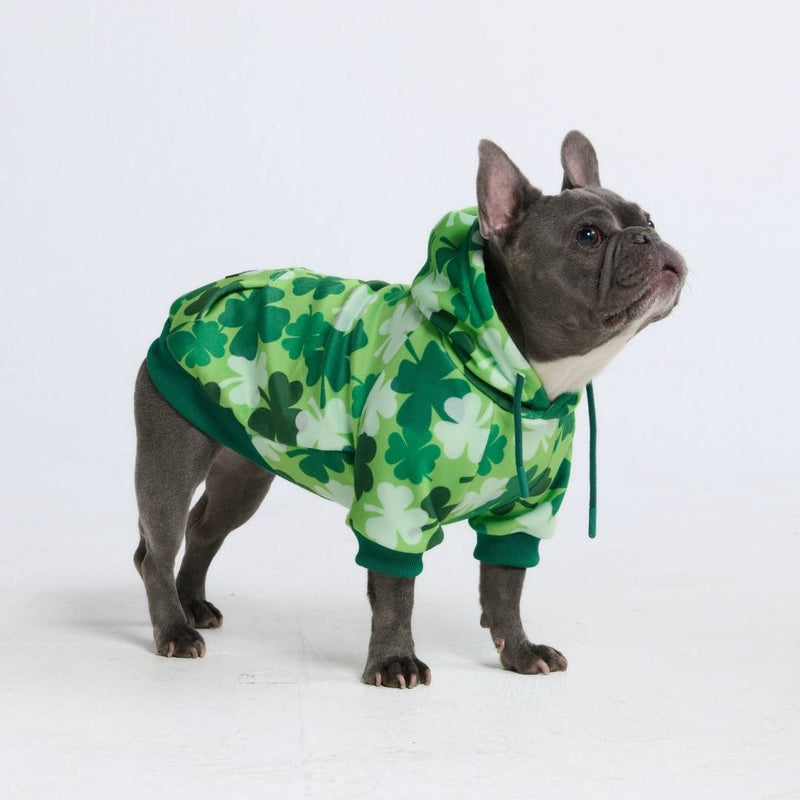 St. Pattys Hundehoodie – Kleeblätter