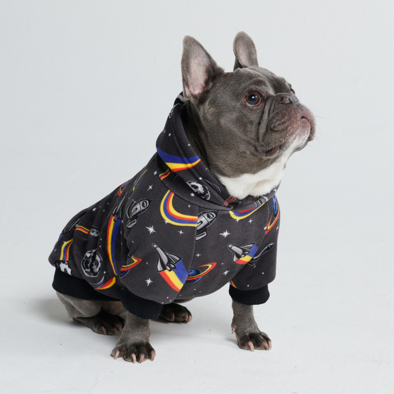 Space Hundehoodie