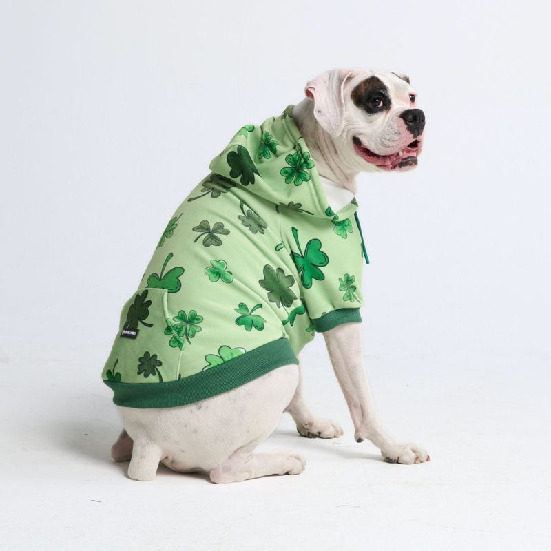 St. Pattys Hundehoodie – Hellgrün