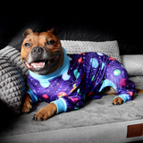 Planets PJ