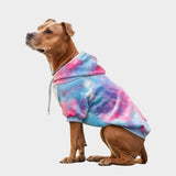 Samtiger Hunde Hoodie - Rosa-Blau