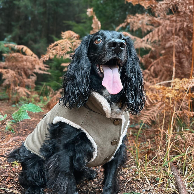 All-Terrain-Isolierjacke - Grün