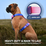 Komfort-Kontrolle No-Pull Hundegeschirr - Rosa-Blau