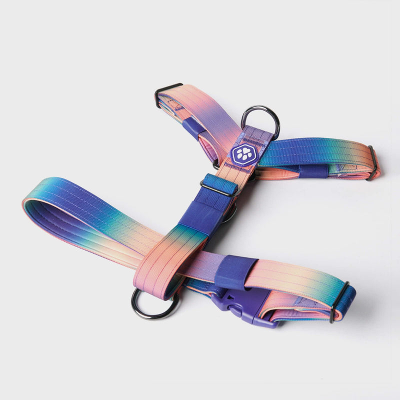 Kaleidoscope Harness