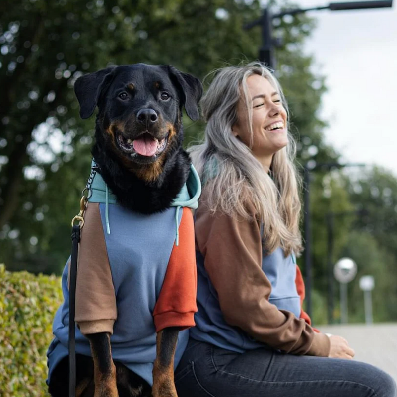 Alpen Hunde Hoodie