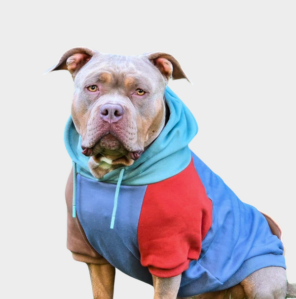 Alpen Hunde Hoodie