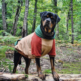 Ranger Hundehoodie