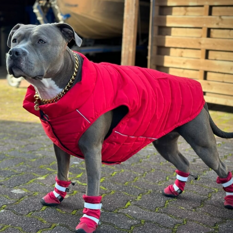 Flex Shell Wasserfeste Hundestiefel - Rot