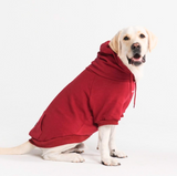 Essentielles Hunde Hoodie - Burgunder