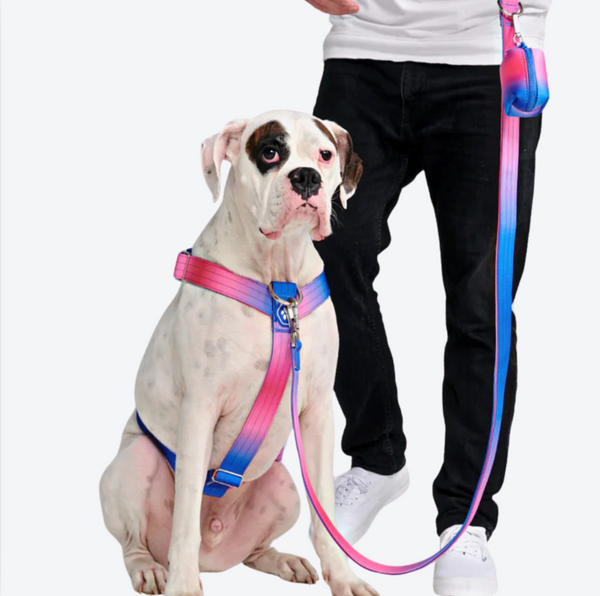 Komfort-Kontrolle No-Pull Hundegeschirr - Rosa-Blau