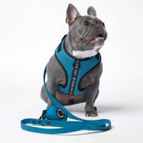 Superweiches Activewear Hundegeschirr - Blau