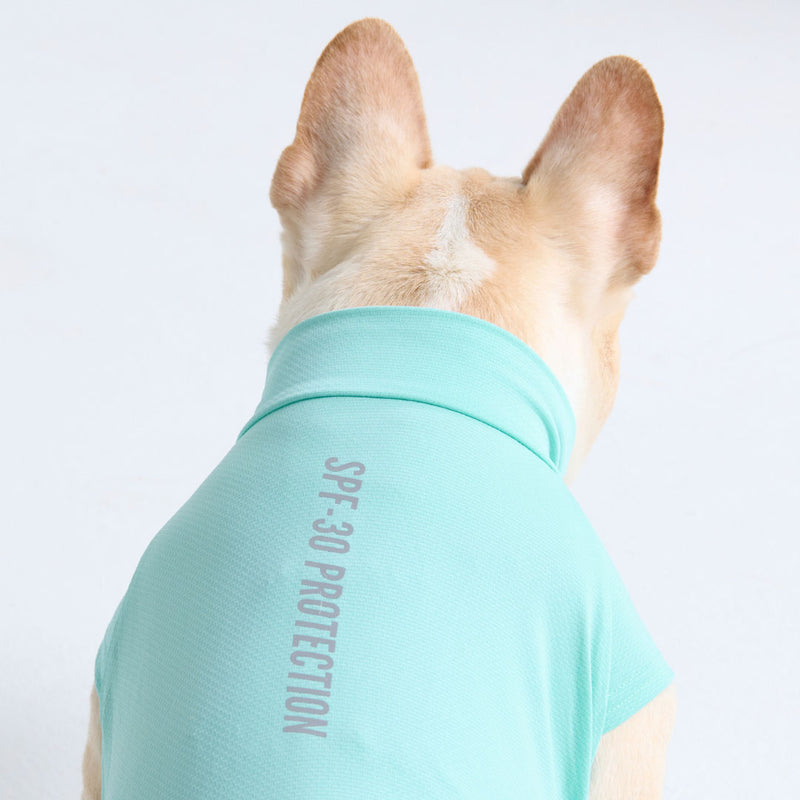 Sunblock Hunde-T-Shirt - Aquablau