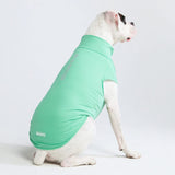 Sunblock Hunde-T-Shirt – Mint