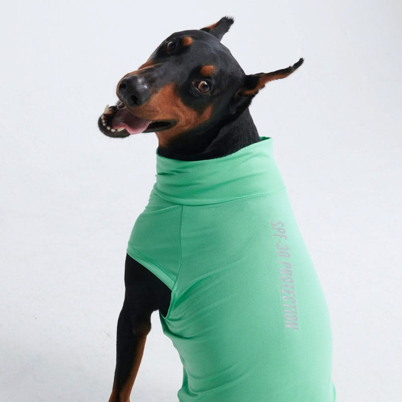 Sunblock Hunde-T-Shirt – Mint