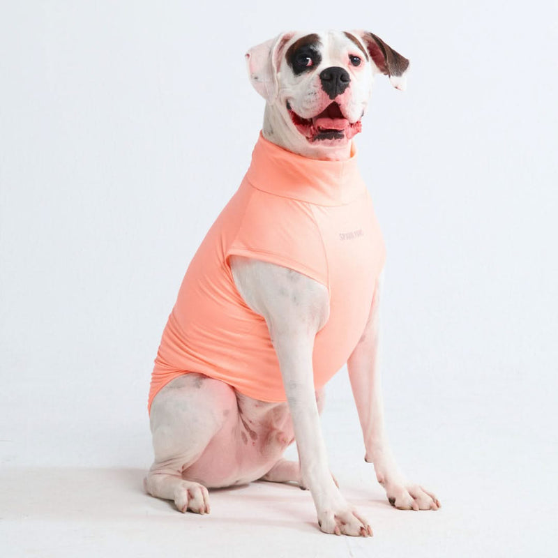 Sunblock Hunde-T-Shirt – Pfirsich