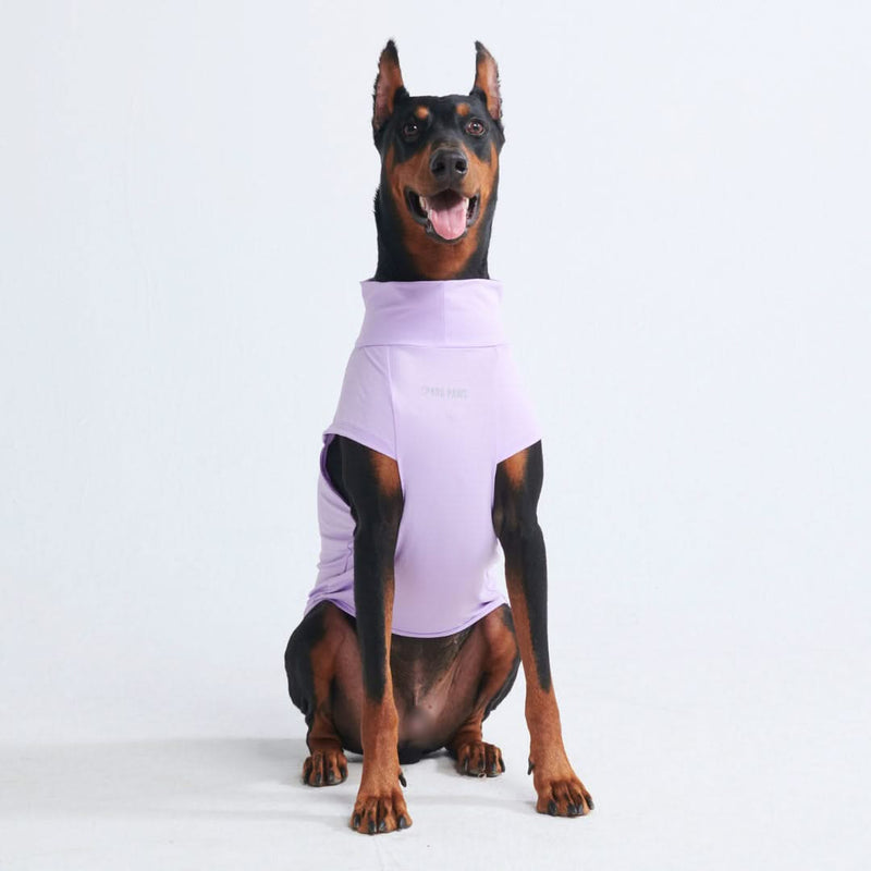 Sunblock Hunde-T-Shirt – Lila