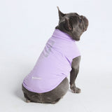 Sunblock Hunde-T-Shirt – Lila