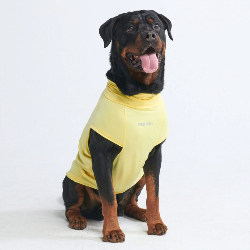 Sunblock Hunde-T-Shirt – Gelb