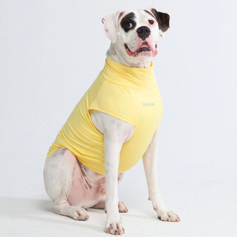 Sunblock Hunde-T-Shirt – Gelb