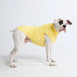 Sunblock Hunde-T-Shirt – Gelb