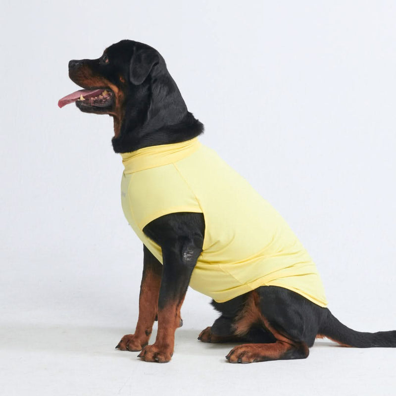 Sunblock Hunde-T-Shirt – Gelb