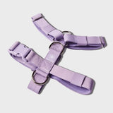 Lilac Harness