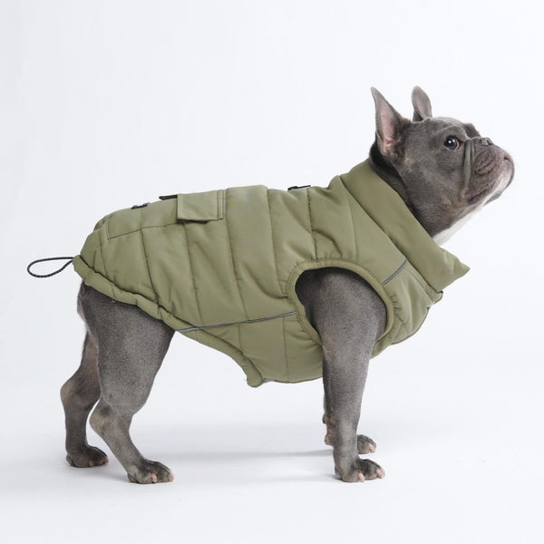 Olive Warmshield Jacket